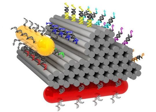 Nanotechnology: Tracking nanowalkers with light