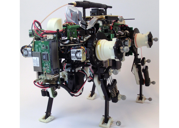 Cooperation work on Oncilla Open-Source Quadruped Robot 