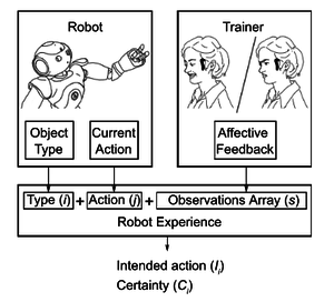 Coaching robot behavior using continuous physiological affective feedback