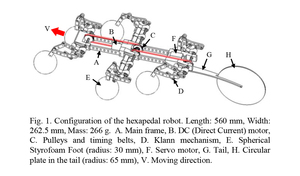Steering control of a water-running robot using an active tail