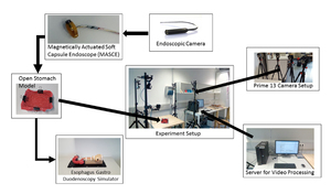 Six Degree-of-Freedom Localization of Endoscopic Capsule Robots using Recurrent Neural Networks embedded into a Convolutional Neural Network