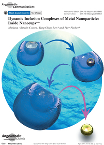 Dynamic Inclusion Complexes of Metal Nanoparticles Inside Nanocups