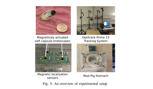 Endo-VMFuseNet: Deep Visual-Magnetic Sensor Fusion Approach for Uncalibrated, Unsynchronized and Asymmetric Endoscopic Capsule Robot Localization Data