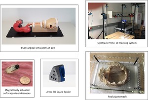 Deep EndoVO: A recurrent convolutional neural network (RCNN) based visual odometry approach for endoscopic capsule robots