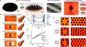 Multifunctional ferrofluid-infused surfaces with reconfigurable multiscale topography
