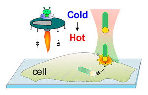 Optical and Thermophoretic Control of Janus Nanopen Injection into Living Cells