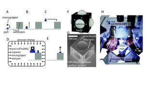 Programmable assembly of heterogeneous microparts by an untethered mobile capillary microgripper