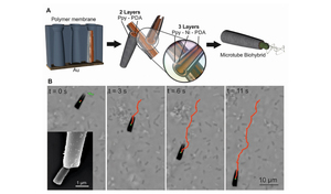Biohybrid microtube swimmers driven by single captured bacteria
