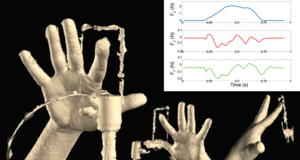 Statistical Modelling of Fingertip Deformations and Contact Forces during Tactile Interaction