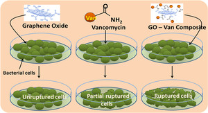 Graphene oxide synergistically enhances antibiotic efficacy in vancomycin resistance staphylococcus aureus