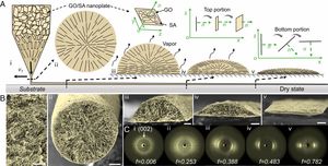 Microribbons composed of directionally self-assembled nanoflakes as highly stretchable ionic neural electrodes